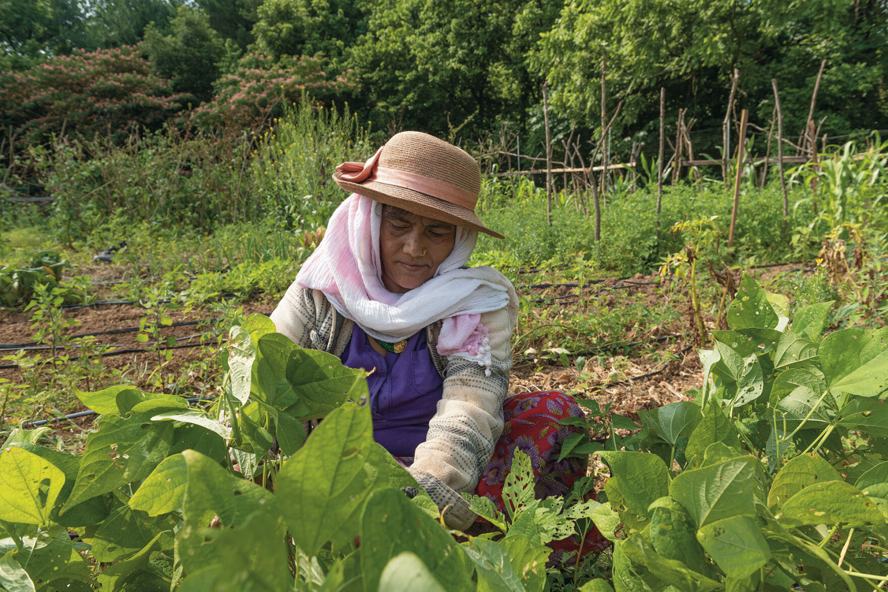 Community gardens-7620.jpg